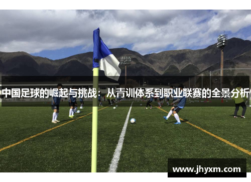 中国足球的崛起与挑战：从青训体系到职业联赛的全景分析